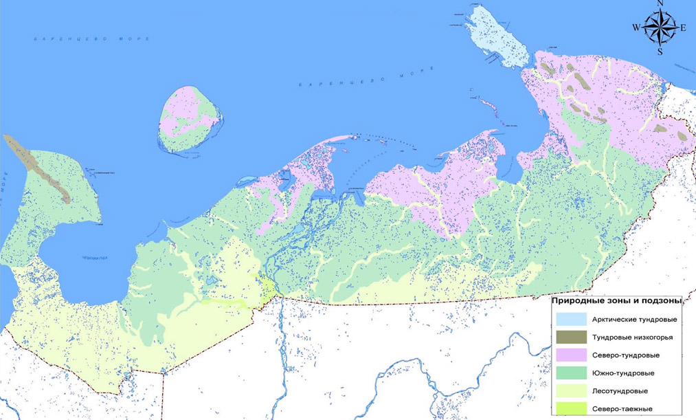 Карта ненецкого округа. Ненецкий автономный округ природная зона. Ненецкий автономный округ климатическая карта. Ямало-Ненецкий автономный округ природные зоны. Большеземельская тундра на карте.